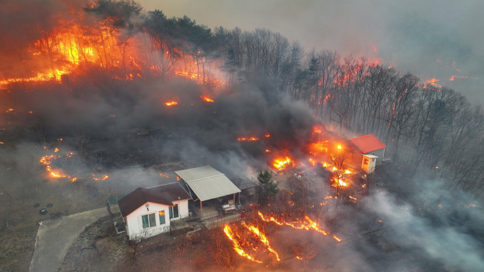 korea-fire